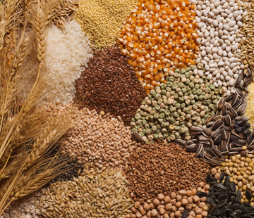 Millets